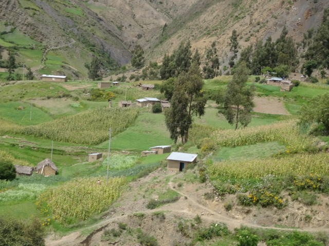 10 Parcelas de maíz varios