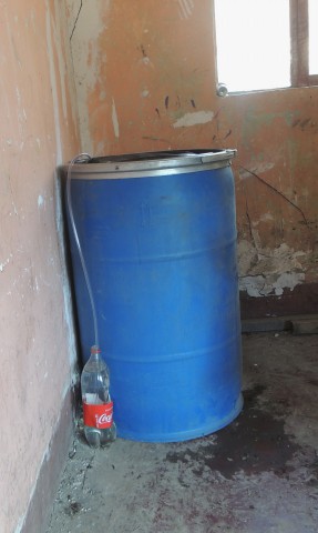 11 biol manguerita botella