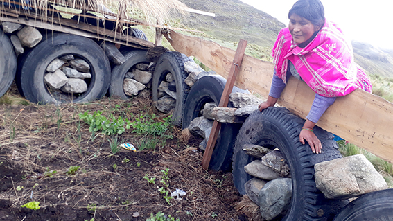 1 Calatacata huerto campo abierto llantas