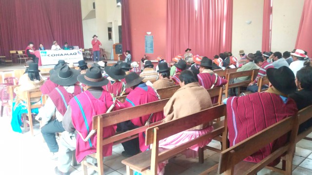 1 Consejo Conamaq