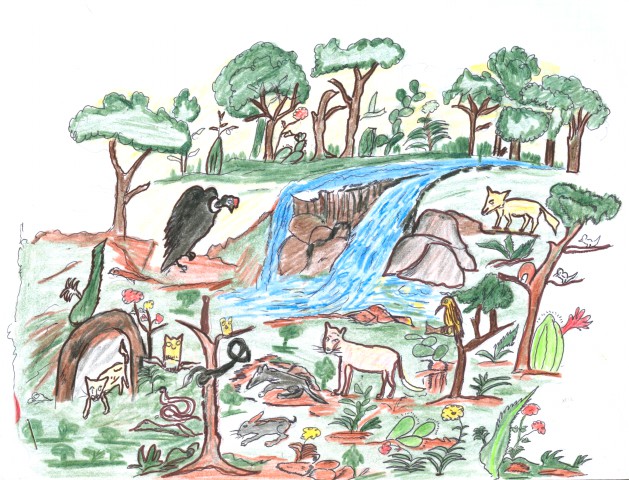 1 Monte con todo animalitos