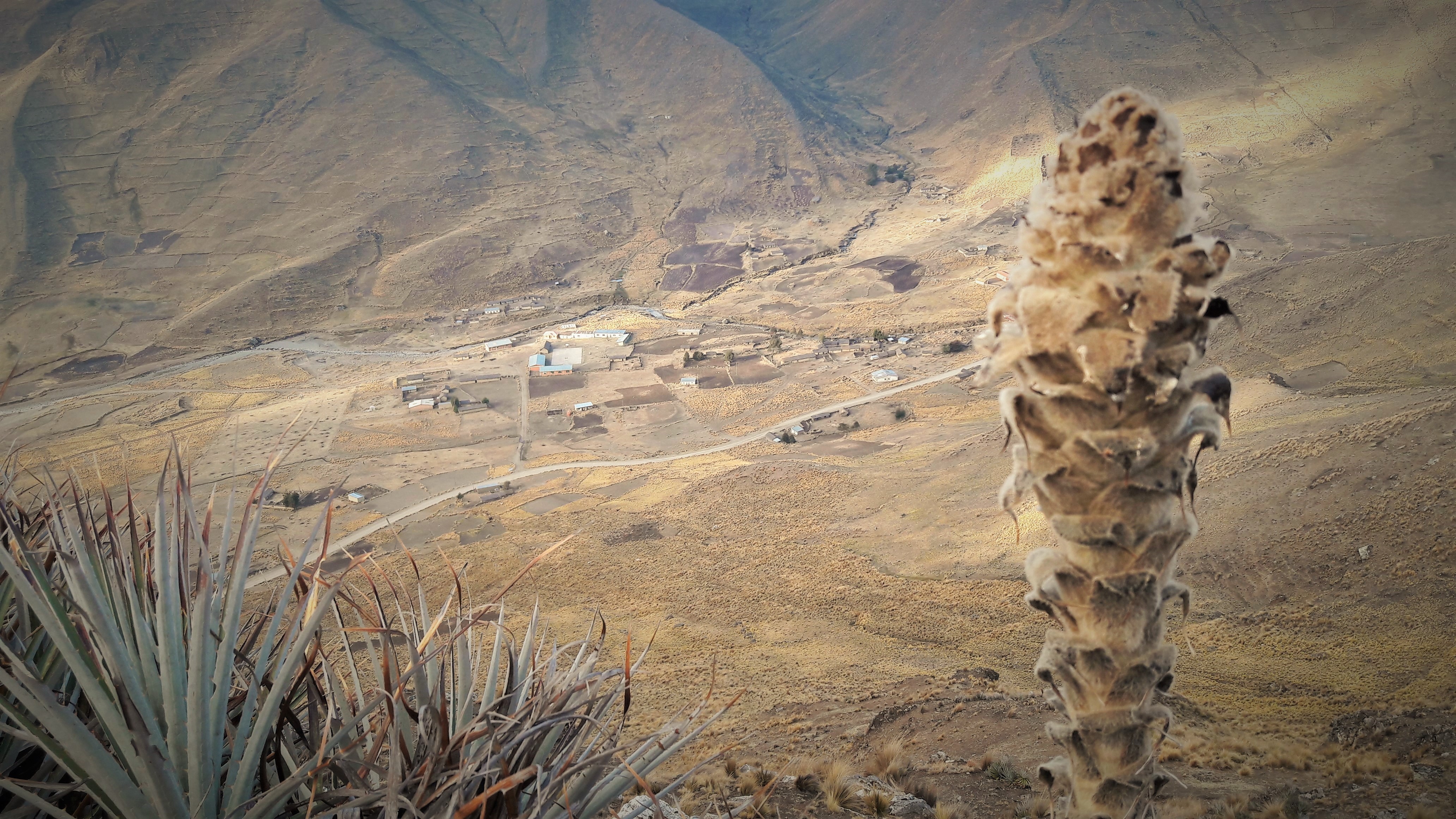 Subcentral de Chillavi