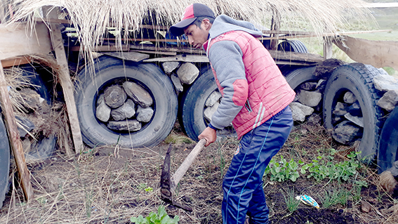 2 Calatacata huerto moviendo tierra