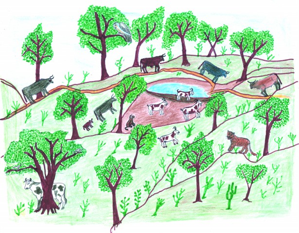 2 Monte echadero de ganado