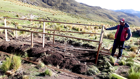 4 Calatacata huerto construyendo wilfredo