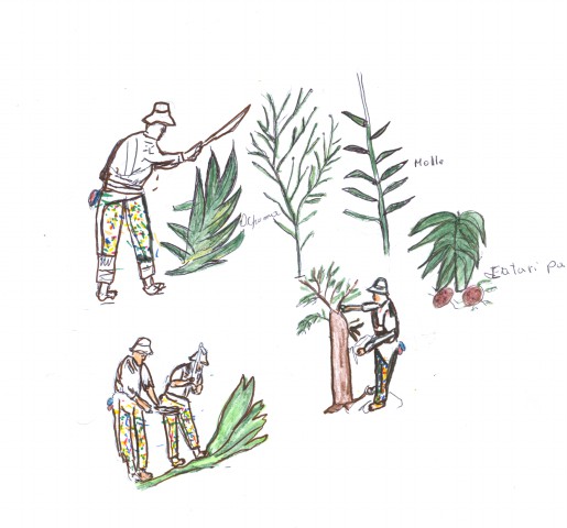 4 Monte jampi qhurakuna