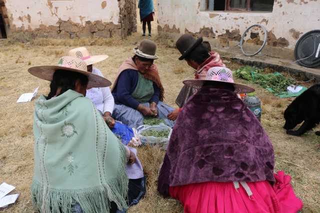 4 biol mujeres picando