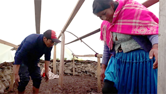5 Calatacata huertos preparacion tierra