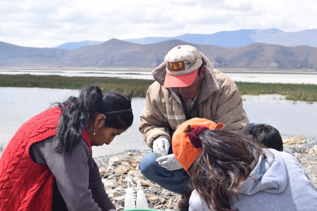 8 análisis en puente desaguadero