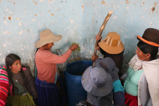 9 biol echan verdes mujeres