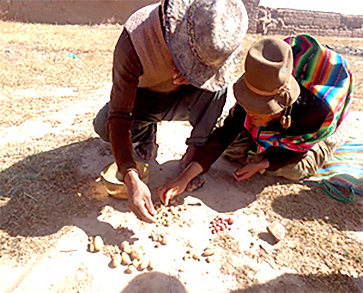 Anapa cosecha de makunkus web