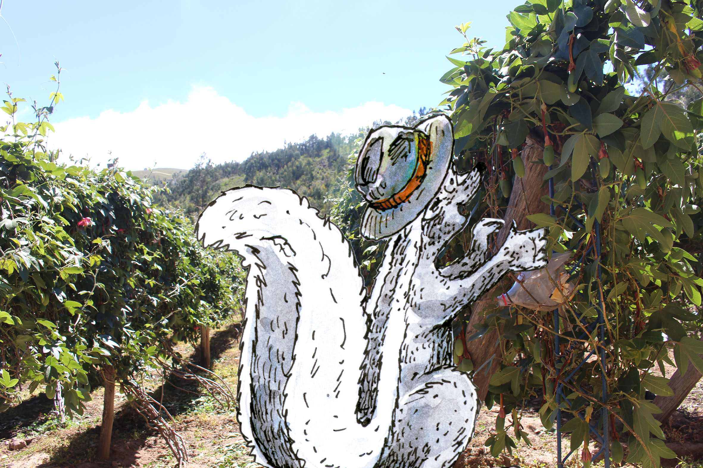 Añaskitu con tumbos