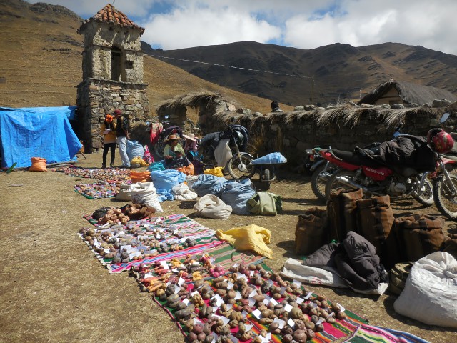 Chillavi torre papas