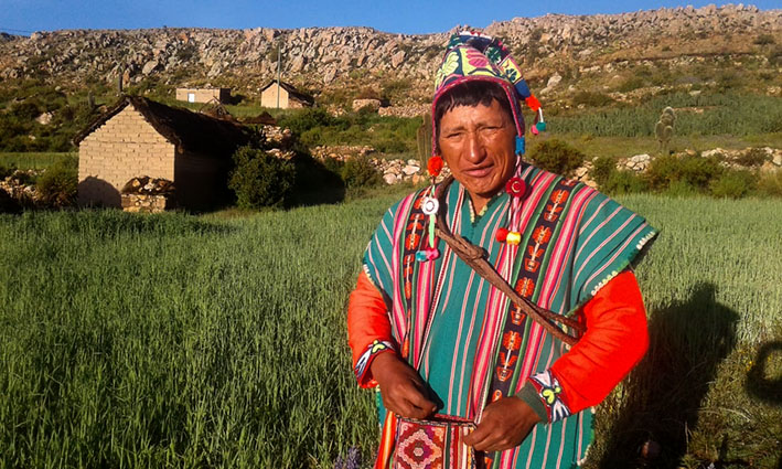 Cosecha NPotosí Don