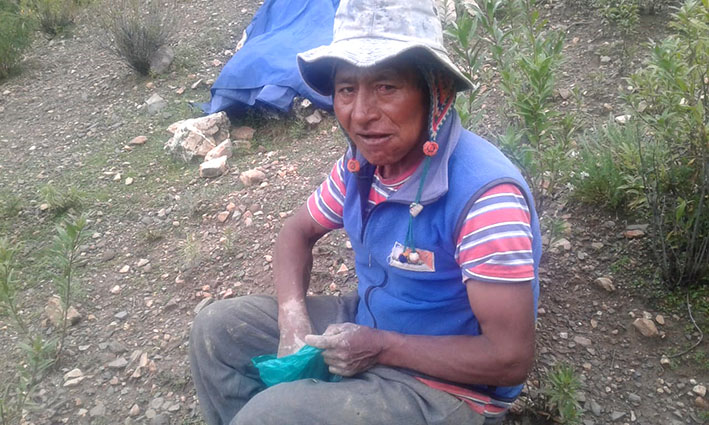 Cosecha NPotosí don 2