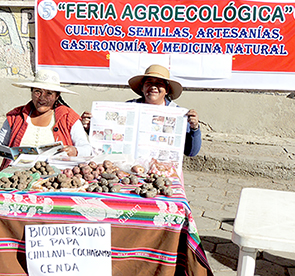 CÑ 171 central Oruro Feria semillas felicidad Chico
