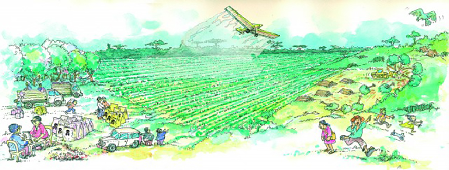 CÑ 171 central dibujo latifundio