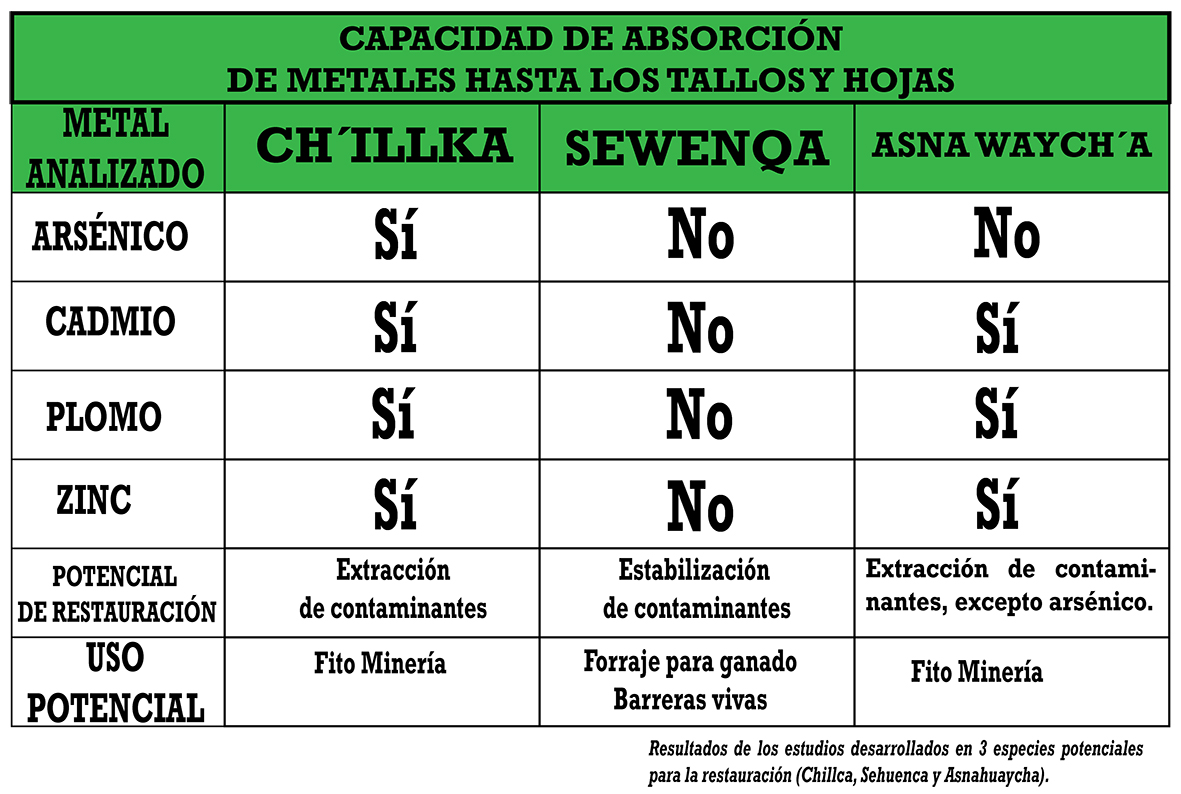 CÑ 175 Cuadro Absorcion de metales