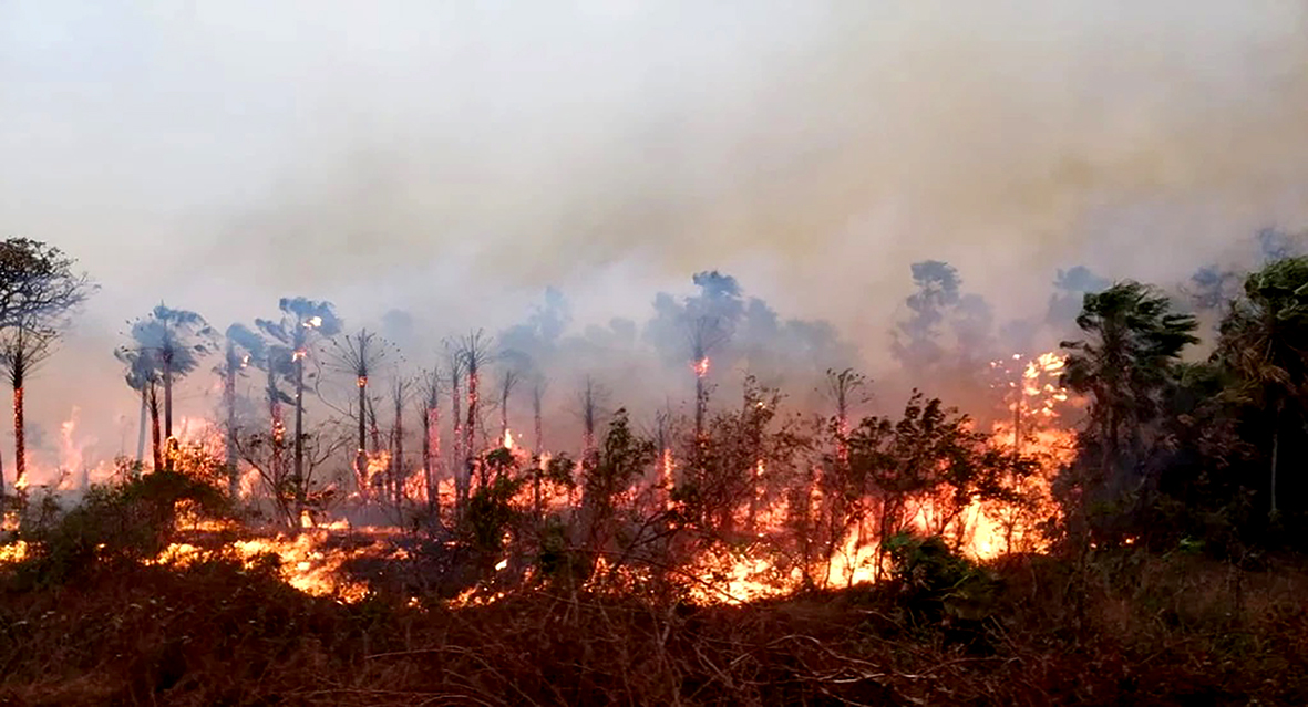CÑ 175 incendios bolivia solon CÑ