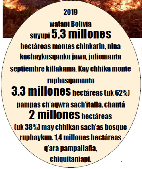 CÑ 175 texto datos círculo