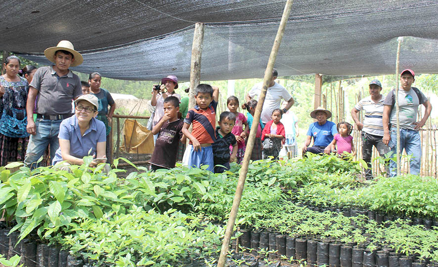 CÑ 179 Vivero comunal Guatemala PSCVP