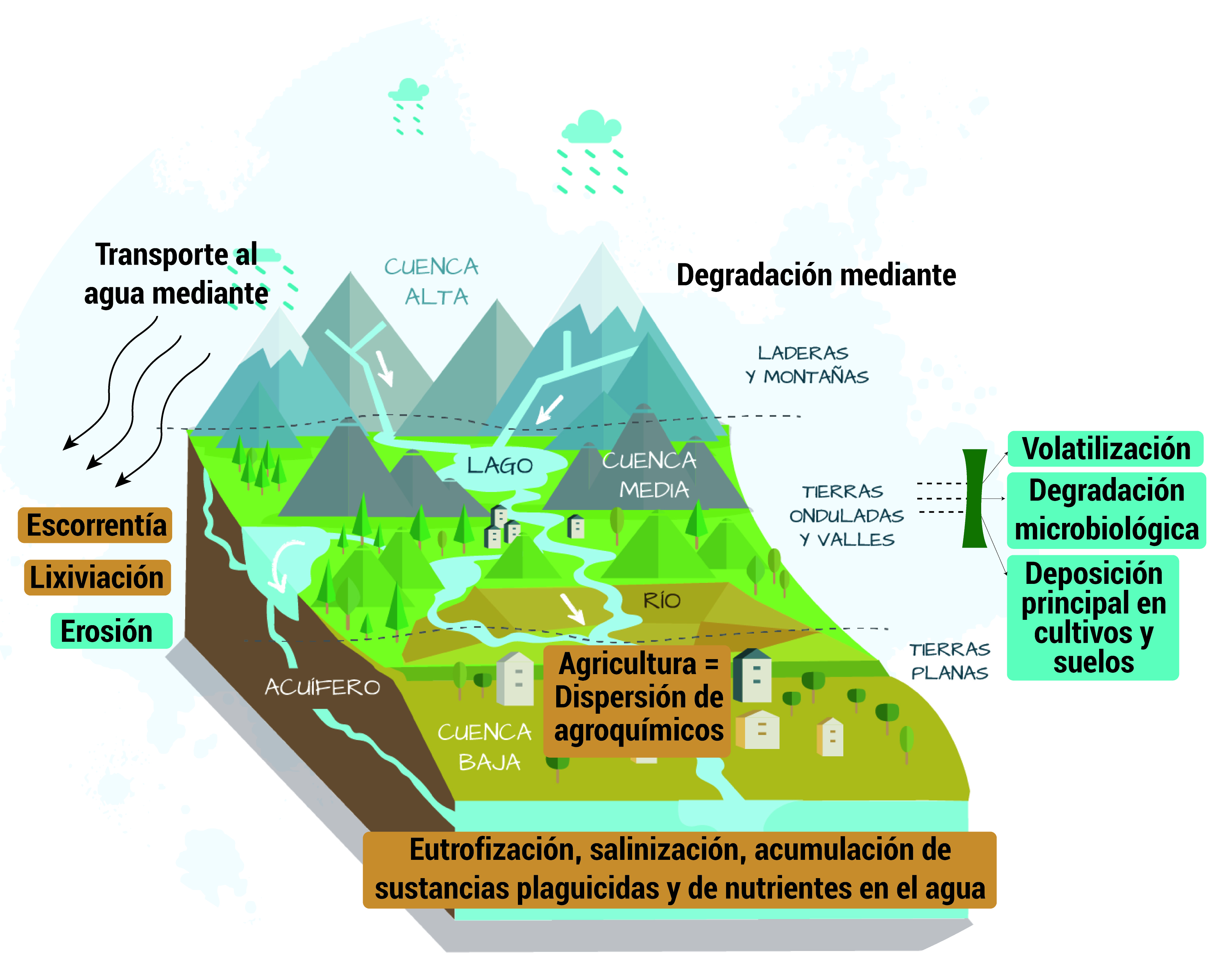 CÑ 183 Agrotoxicos cuenca maylanco