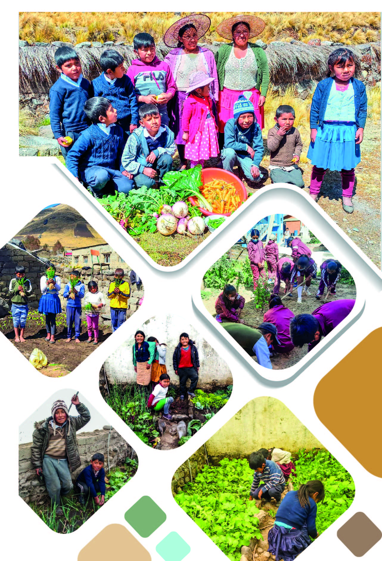 CÑ 183 SSA huertos en UE estudiantes