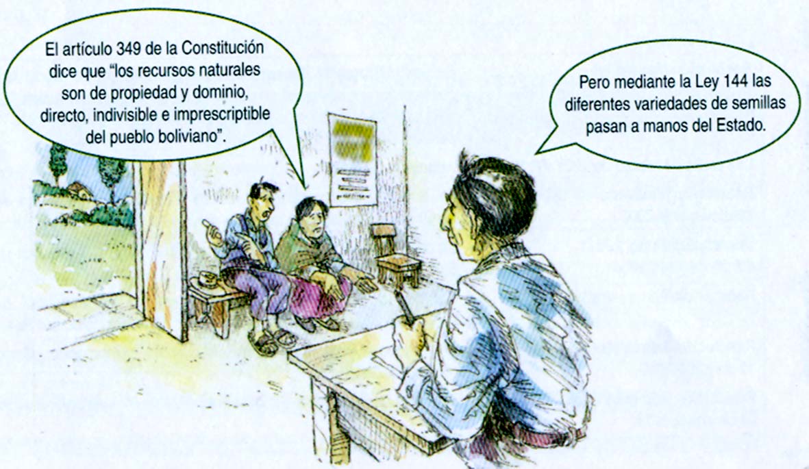 Dialogo sobre semillas