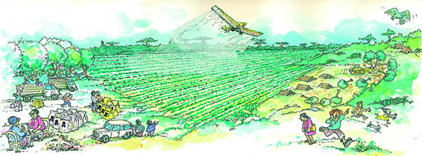 Elecciones dibujo agroindstria bajojpg