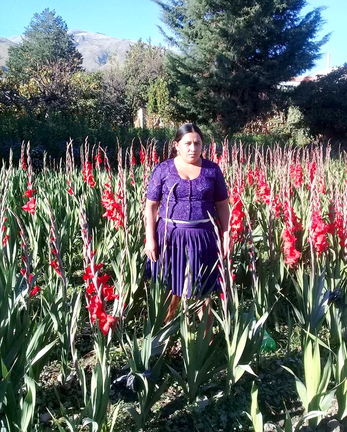 Fedecor Marisol Román