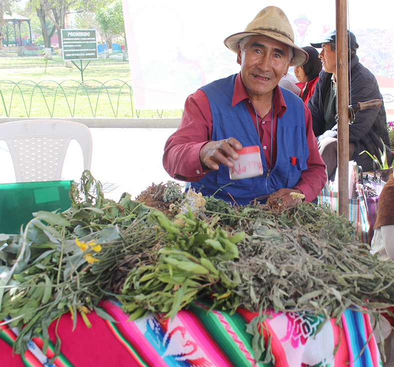 Feria Víctor Quintana Plantas medicinales