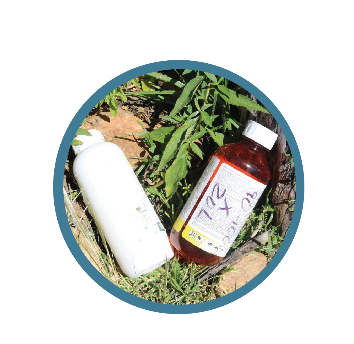 5Testimonio agroquimicos