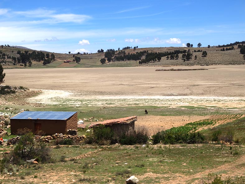 Laguna juntutuyu vacas
