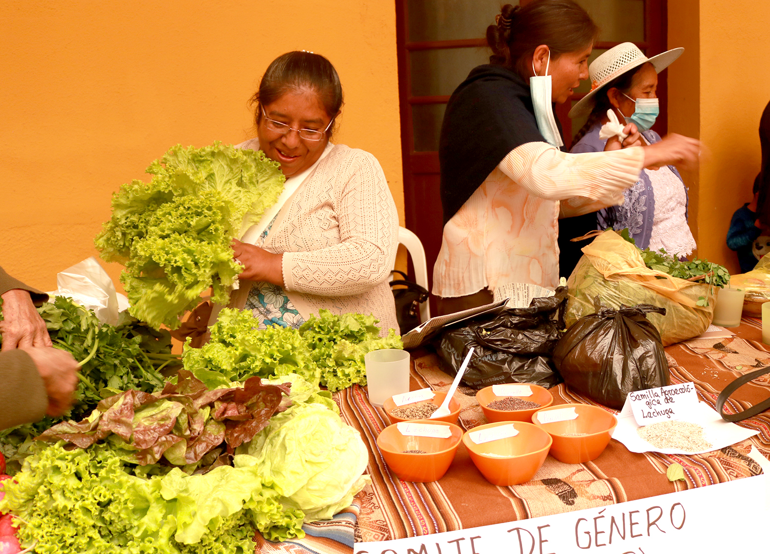 MAB Fedecor presente