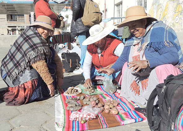 Oruro papas de makunku Marta