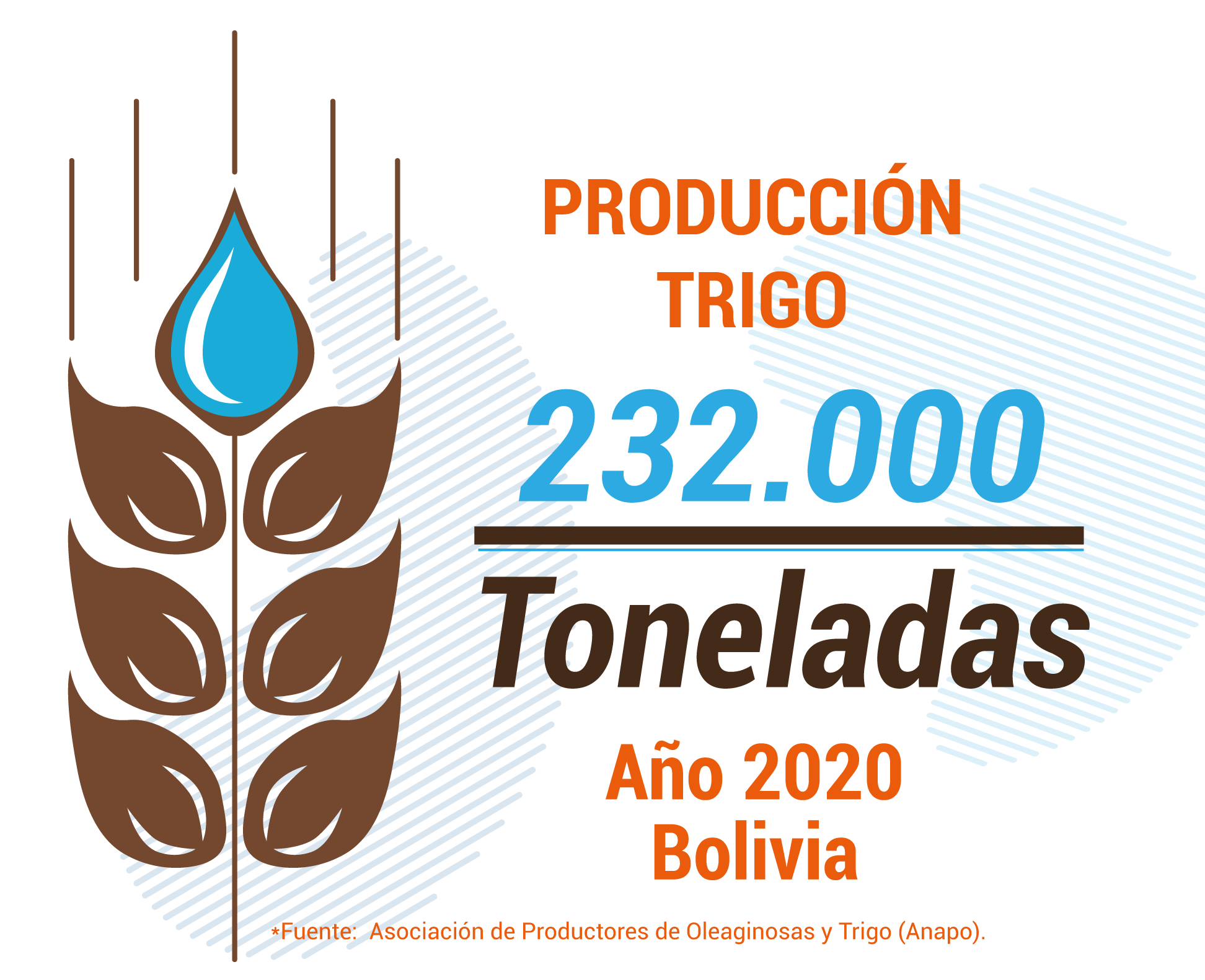 PROD TRIGO Mesa de trabajo 1