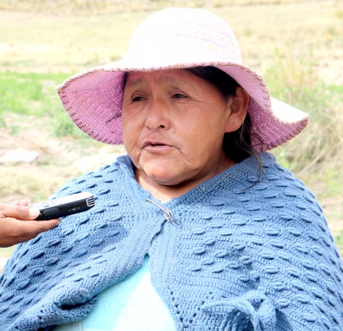 Predicción 2019 suplemento Alejandrina Mamani Chiw 