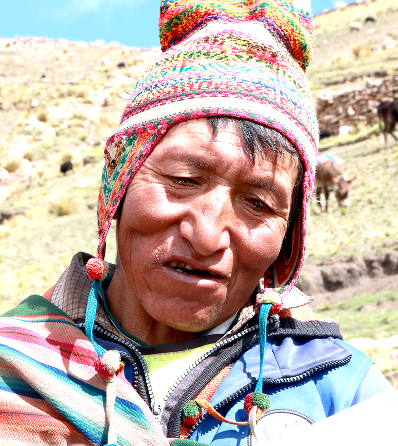 Predicción 2019 suplemento Víctor Bernabé Colque N.P