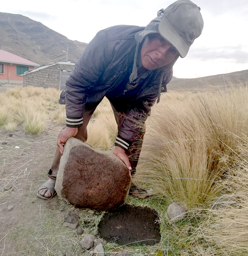 Predicción Suplemento 2019 Piedra don Pedro 2018