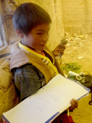 Q Juan Carlos willarichkan 2013