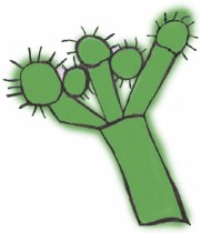 Q kayqa Muqu  Muqu Vacas 2013