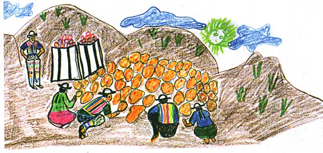 Q seleccionar quyu papas 102005.jpg