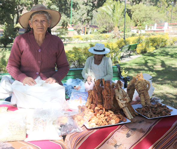 Semilla pocona muñecos