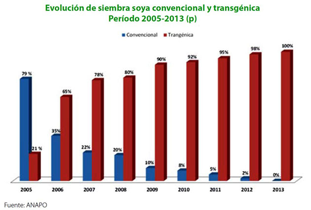 Transgénico y convencional soya