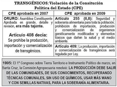 Transgénicos CPE violacion