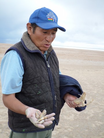 am lago poopó 18122014 12