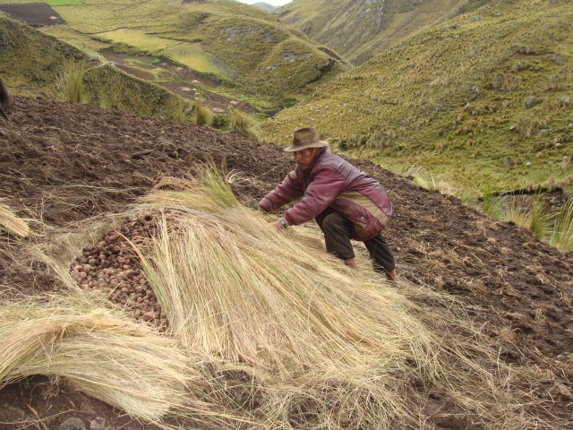 cuidando papa cirilo
