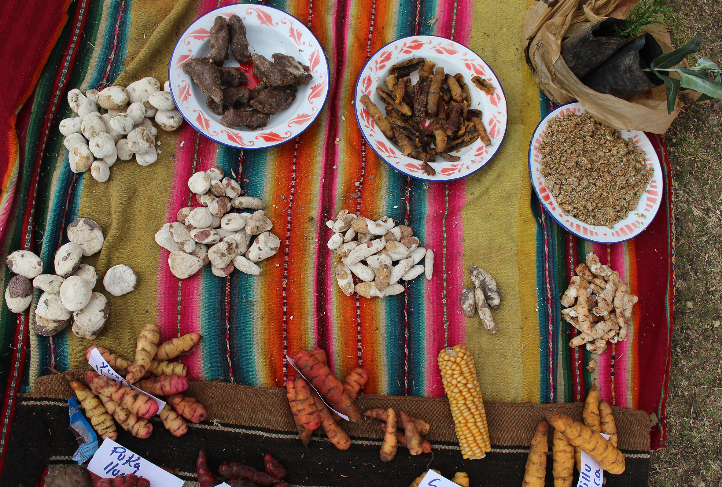 meriendas de la comunidad