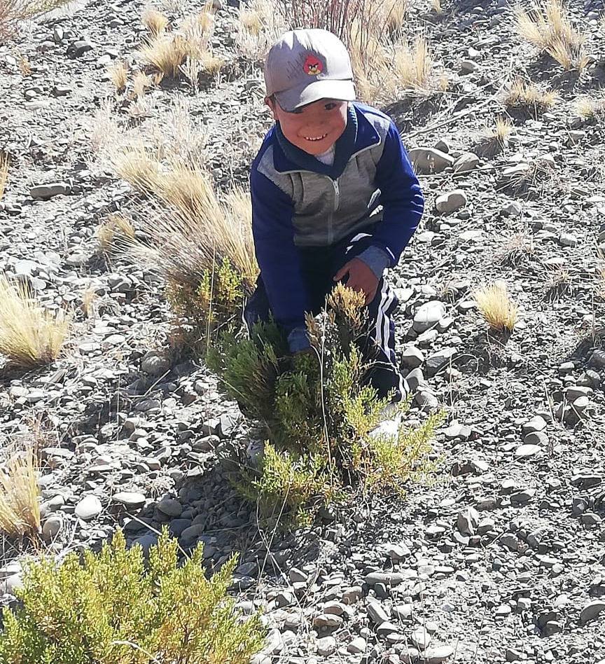 niño en el campo