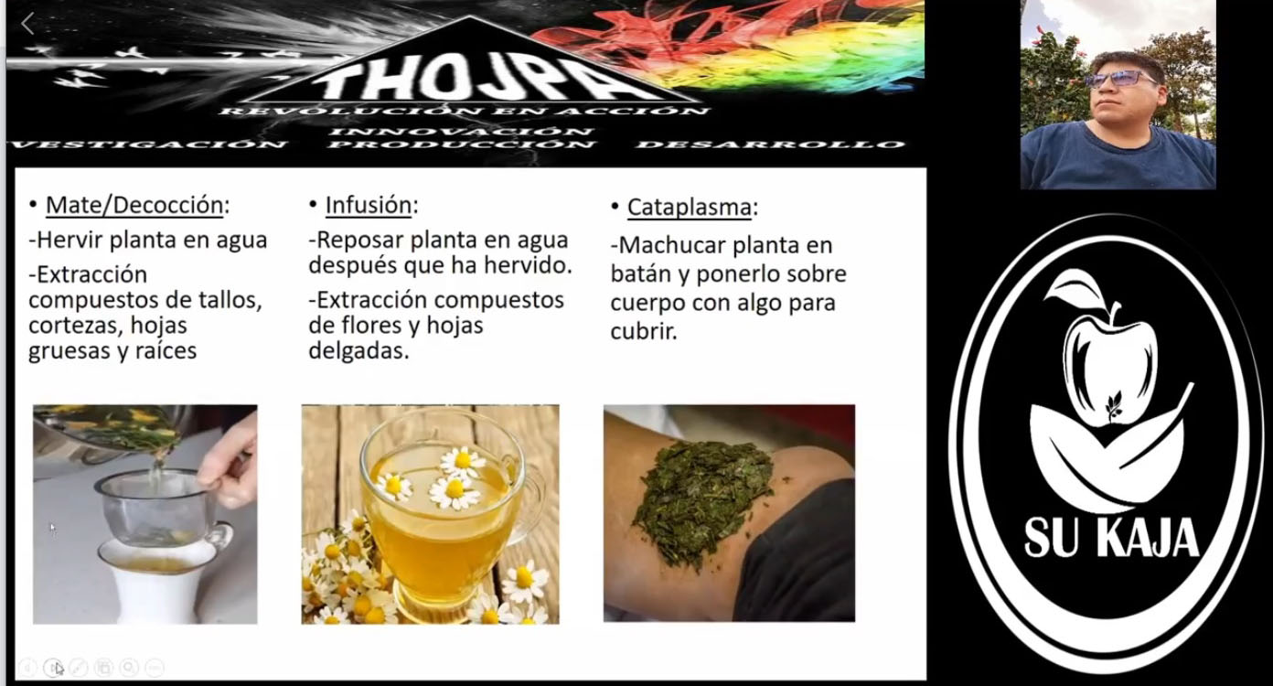 plantas medicinales evento